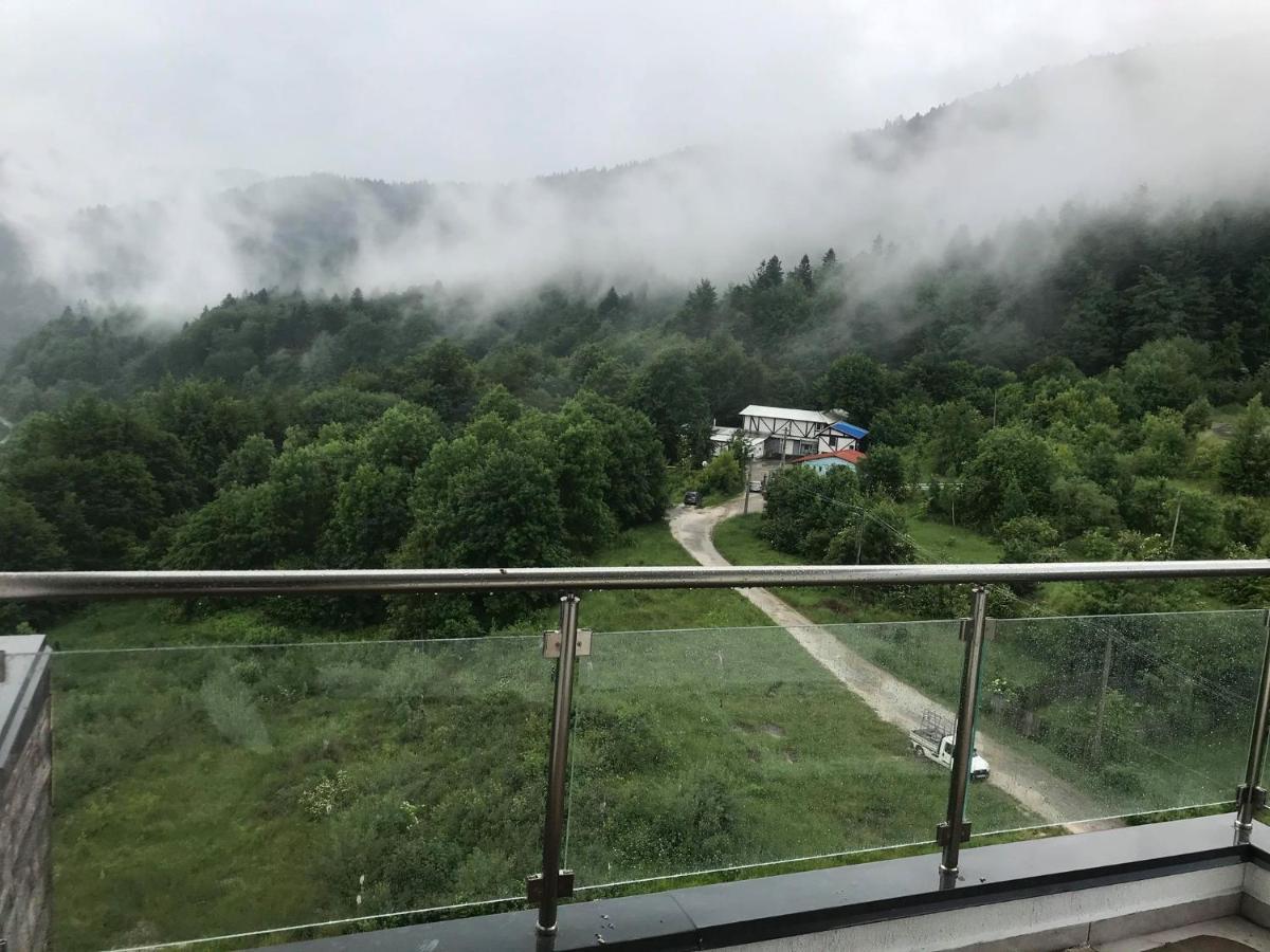 Mountain Residence Sinaia Exteriör bild